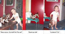 Het paard is stout geweest